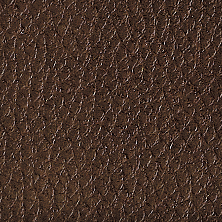 Skinbrown