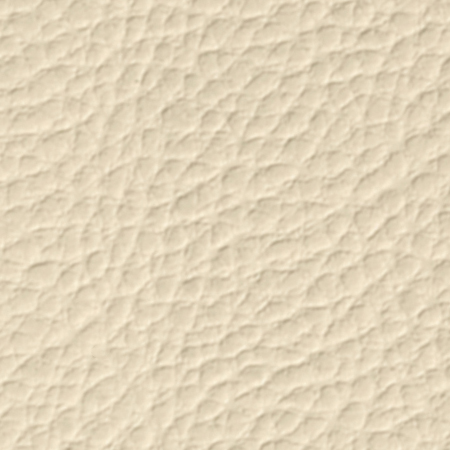 Skinivory